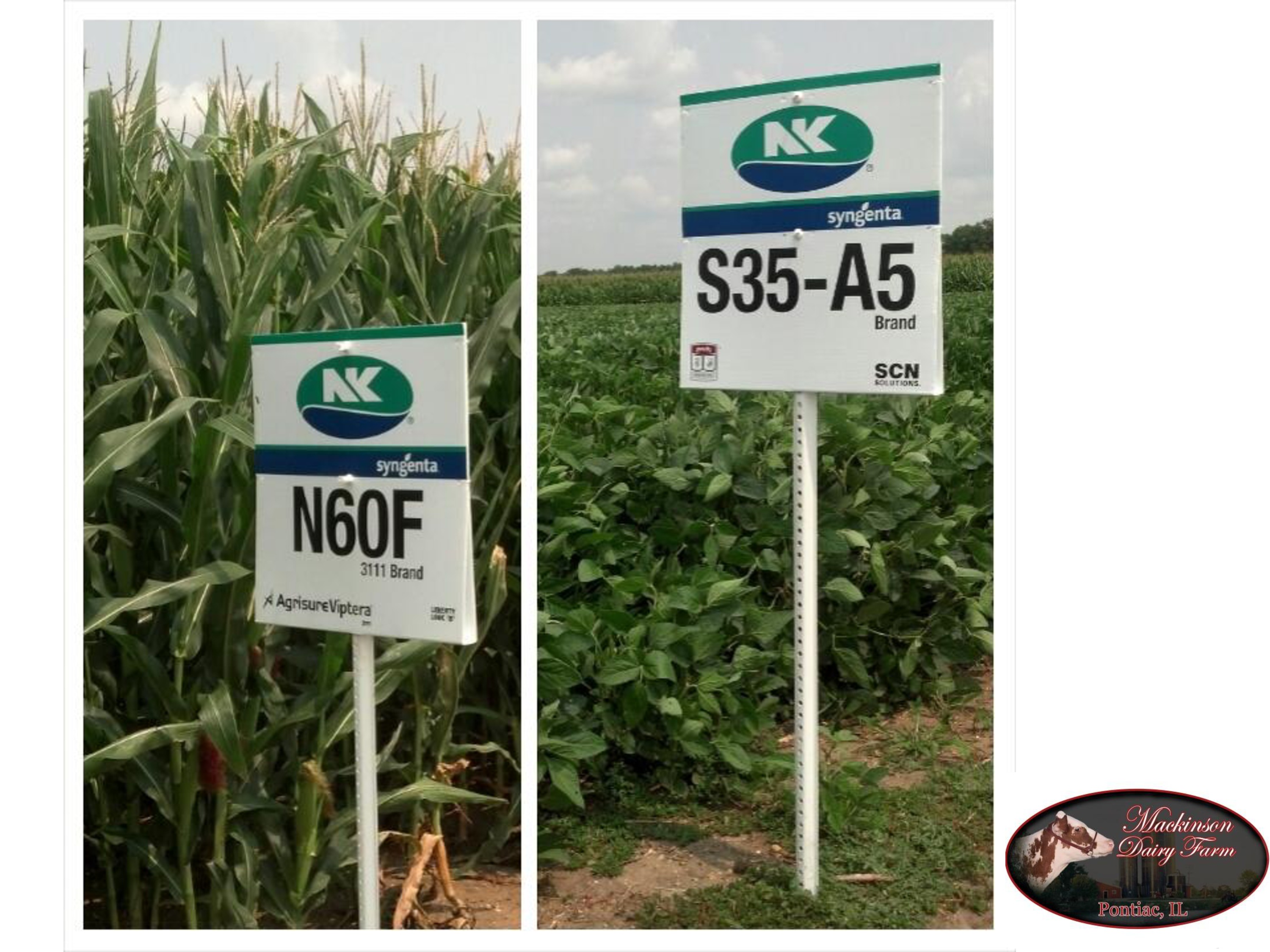 NK Corn & Soybean Signs