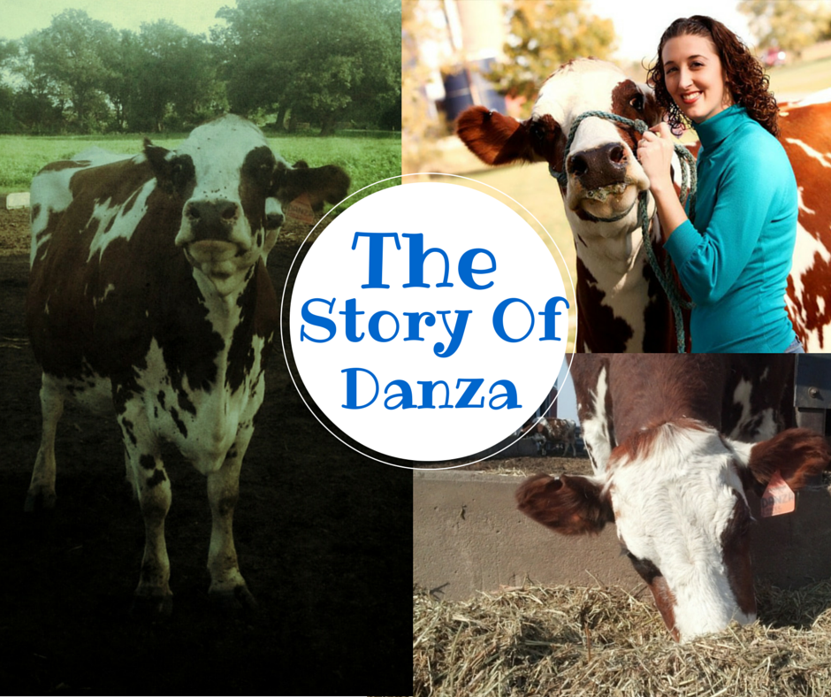 the story of danza