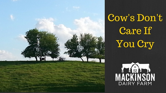 Heather’s Story – Cow’s Don’t Care if You Cry