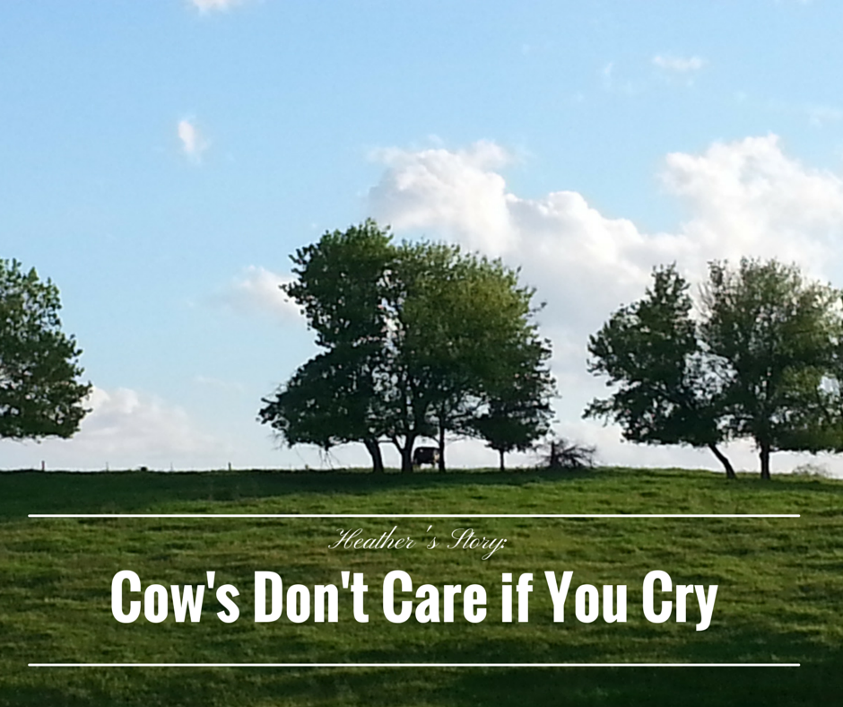 Cow's Don't Care if You Cry