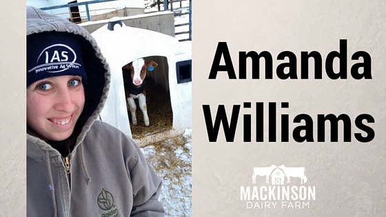 Women in Dairy: Amanda Williams from Cuba City, Wisconsin