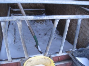 lisa's blog - snowy calf condo