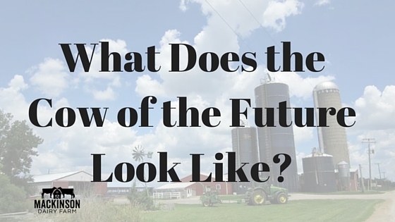 What Does the Cow of the Future Look Like?