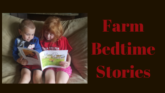 Our Favorite Bedtime Stories